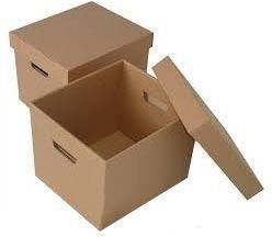 Food Packaging Carton