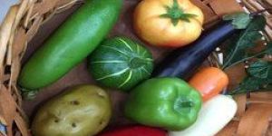 FRP Artificial Vegetables