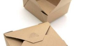 Food Packaging Carton