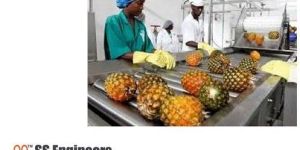 Automatic Food Processing Machines