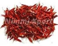 Dried Red Chili