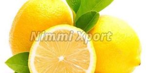 Fresh Lemon
