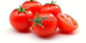 Fresh Tomato