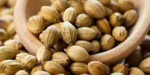 High Quality Organic Coriander Seeds