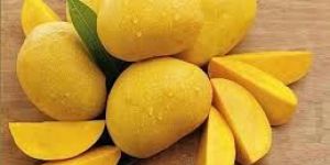 Fresh Mango