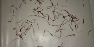 Kashmiri Mogra Saffrons