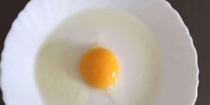 Table Eggs