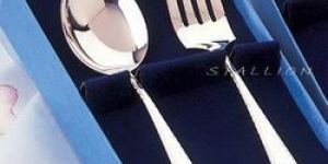 Silver Stainless Steel Spoon