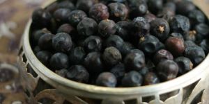 Juniper Berries