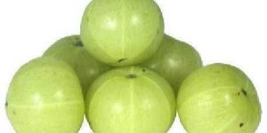 Fresh Gooseberry