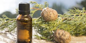 Cypress Oil