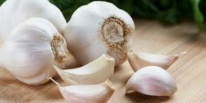 Fresh Garlic