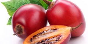 Tree Tomato Seed