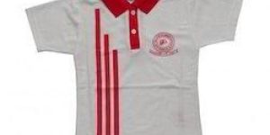 Half Sleeve Boys School Uniform T Shirts