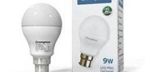 LED Pro Cool Daylight Bulb