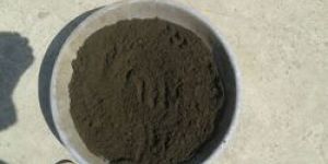 Organic Fertilizer