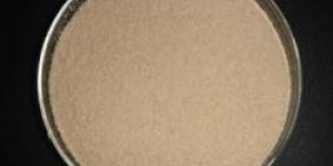 Glucoamylase Powder