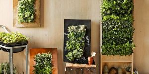 Decorative Vertical Wall Garden