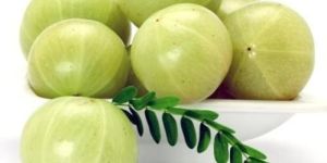 Fresh Amla