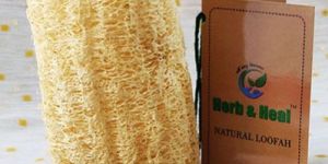 Loofah Sponge