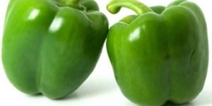 Fresh Green Capsicum