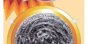 Dux Plus Stainless Steel Scrubber