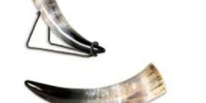 Viking Drinking Horn