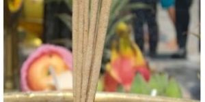 Wood White Incense Sticks