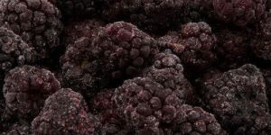 IQF BLACKBERRY