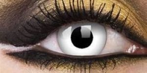 Polycarbonate Contact Lenses