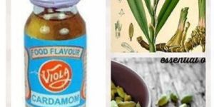 Cardamom Natural Food Flavor