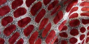 Velvet Upholstery Fabric