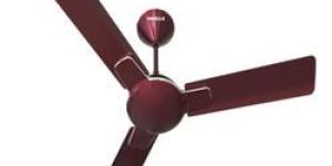 Enticer Ceiling Fans