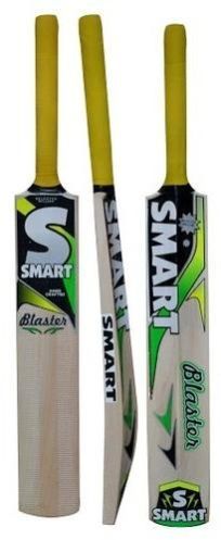 Kashmir Willow Smart Cricket Bat