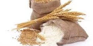 Whole Wheat Flour