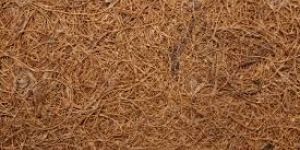 Palm Fiber