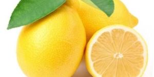 Fresh Seedless Lemon