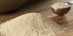 Baking Yeast