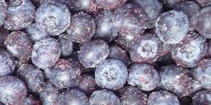 Blueberries