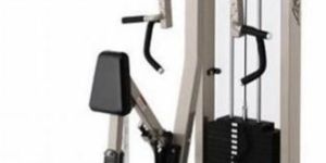 Peck Fly Fitness Machine