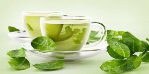 Green Tea Leaves