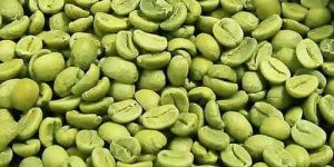 Organic Green Coffee Beans