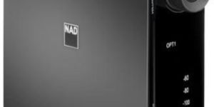 Hybrid Digital Amplifier