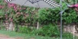 Imported Designer Treasures Umbrella