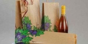 EcoSri Kraft Paper Bag