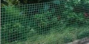 Plastic Garden Fencing