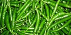 Green Chili