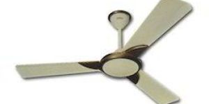 Ceiling Fan