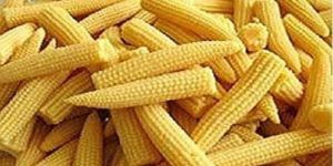 Yellow Canned Sweet Corn