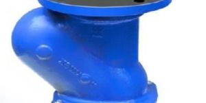 Blue Cast Iron Ball Type Foot Valve